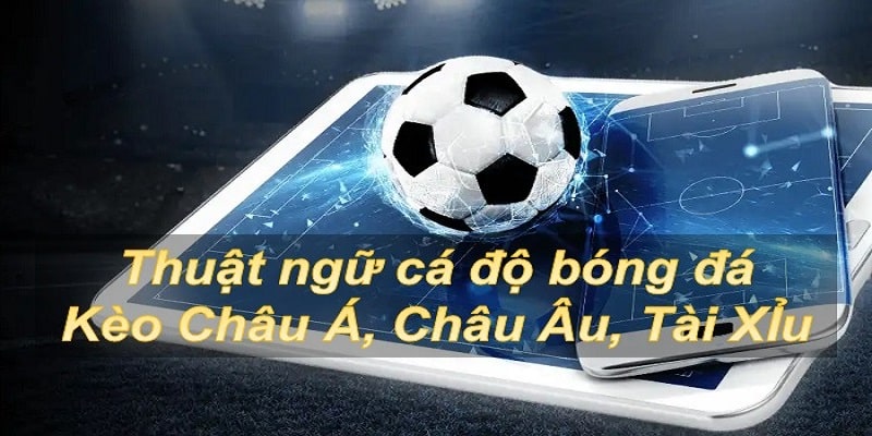 Ghi nhớ một vài tỷ lệ cược khác tại nhà cái